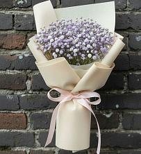 Букет цветов из:  Гипсофила в поселок им. Кирова