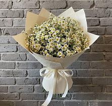 Букет цветов из:  Ромашки #REPLACE_PRED# поселок им. Кирова
