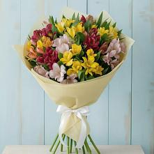 Букет цветов из:  Альстромерии #REPLACE_PRED# поселок им. Кирова