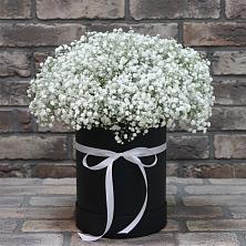 Цветочная композиция из Гипсофила в шляпной коробке в поселок им. Кирова